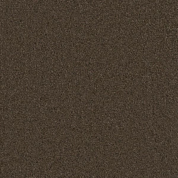 Lifeproof Carpet Sample - Harvest III - Color Ander Texture 8 in. x 8 in.