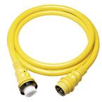 50 Amp 125/250V Standard ShorePower 25 ft. Cordset