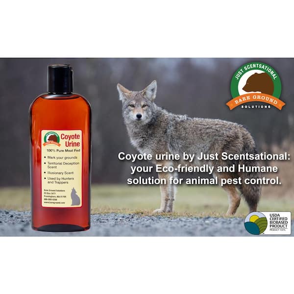 Just Scentsational Coyote Urine Predator Scent 8 oz