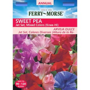 Sweet Pea Jet Set Mixed Colors Seed