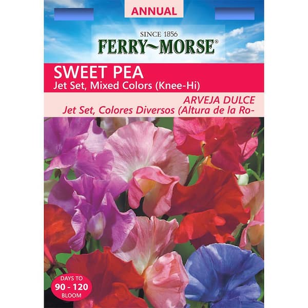 Ferry-Morse Sweet Pea Jet Set Mixed Colors Seed 1159 - The Home Depot