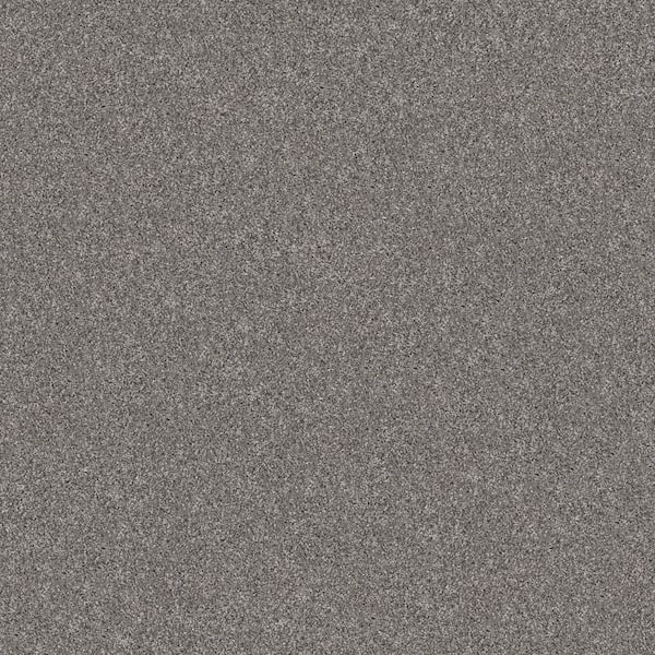 Home Decorators Collection 8 in. x 8 in. Texture Carpet Sample - River ...