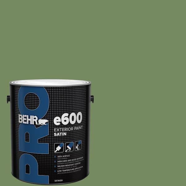 1 gal. #M380-6 Fern Canopy Satin Exterior Paint