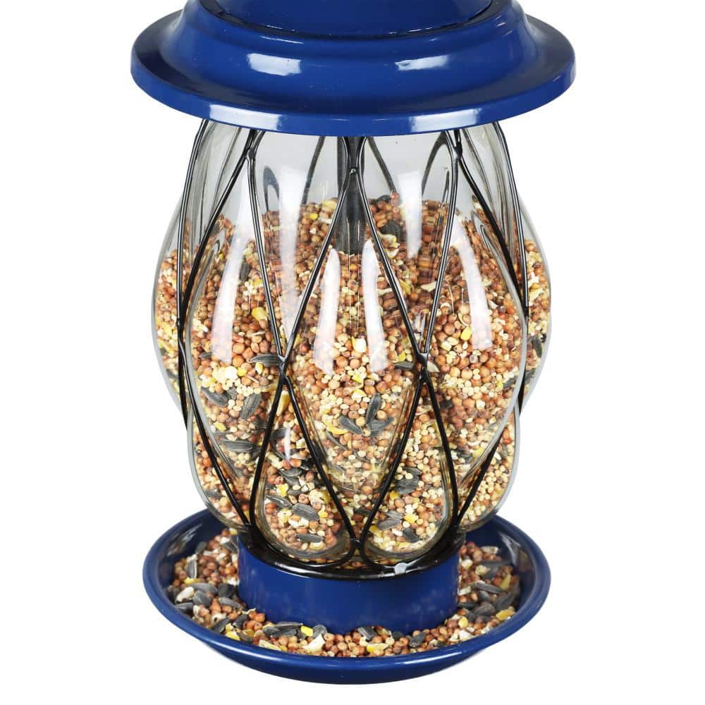Blue Metal and Glass Hanging Bird Feeder with Wire Cage