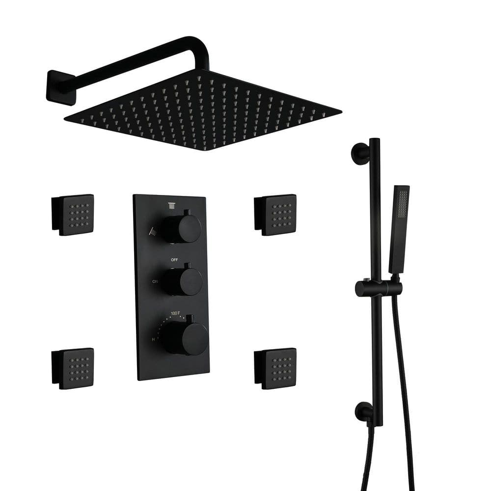 1-Spray 12 in. Thermostatic Wall Mount Fixed and Handheld Shower Head with Side Jets Sprayer 2.5 GPM in Matte Black price history on PriceWatchPro