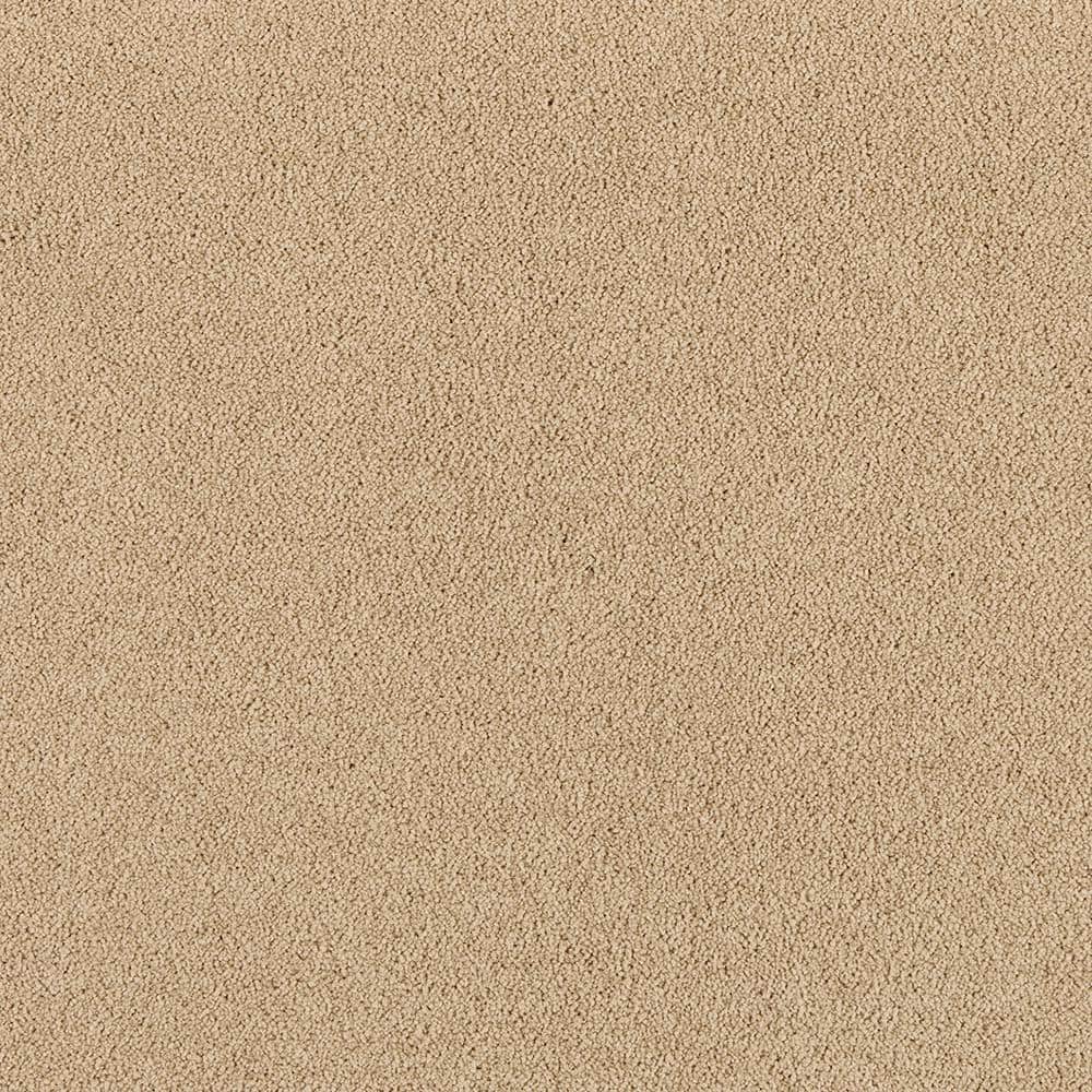 8 in. x 8 in. Texture Carpet Sample - Tailored Trends II -Color Classic price history on PriceWatchPro