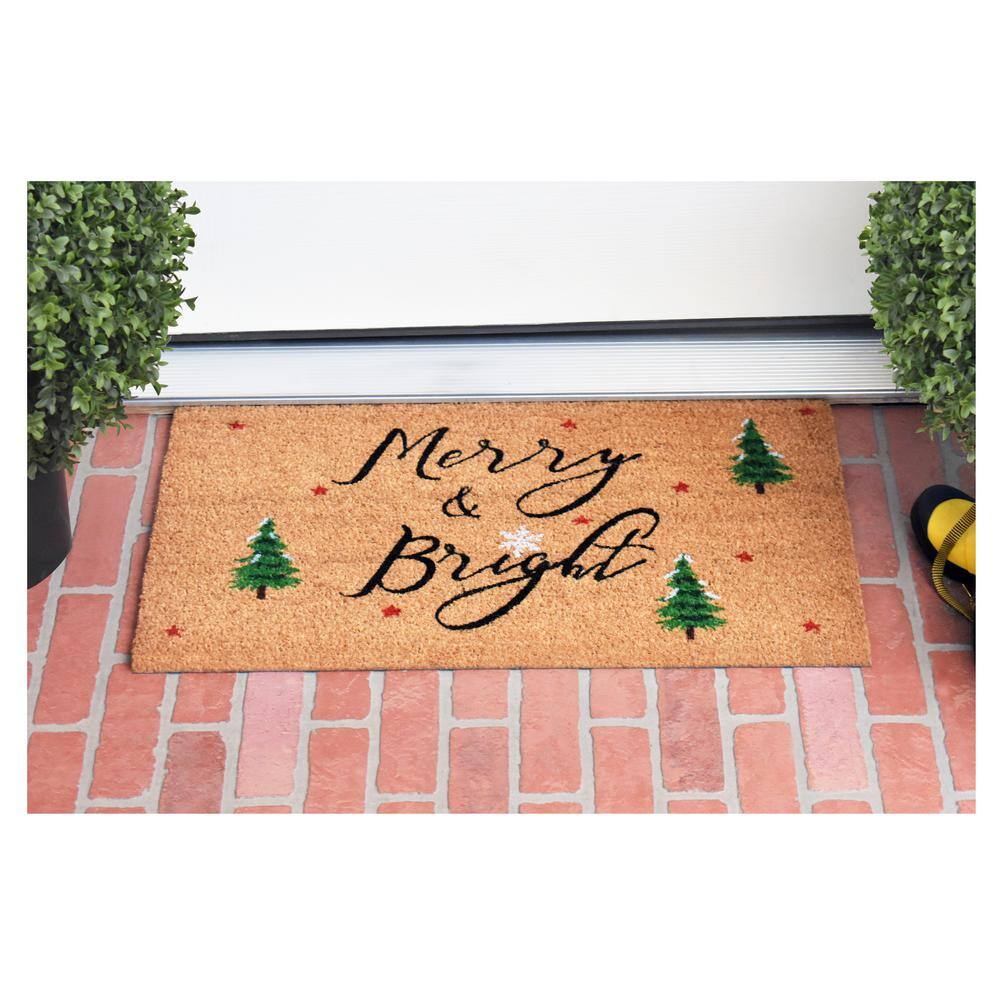 Modern Coir Winter Welcome Outdoor Doormat 29" x 17"
