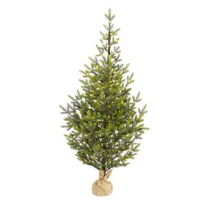 5 ft. Pre-Lit Fraser Fir Natural Look Artificial Christmas Tree with 200 Clear LED Lights in a Burlap Base