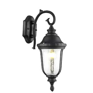 Chessie 1-Light Black Lantern Outdoor Wall Light Fixture with Clear Crackled Glass
