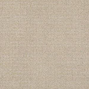 Recognition II - Tranquility - Beige 24 oz. Nylon Pattern Installed Carpet