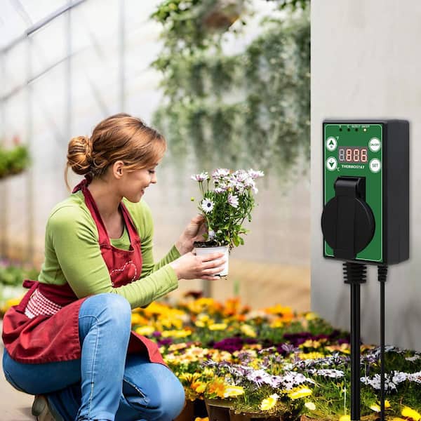 Electric Smart Digital Thermostat Temperature Controller Black for Hydroponic Seed Heat Mat Heater Greenhouse (2-Pack)