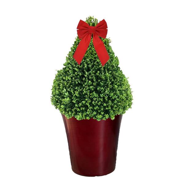 https://images.thdstatic.com/productImages/f806dfd5-f076-486f-9497-32560f149679/svn/fresh-christmas-plants-80016-64_600.jpg