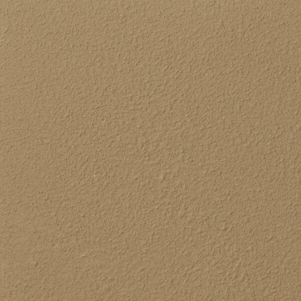 Ralph Lauren 13 in. x 19 in. #RR139 Stagbush River Rock Specialty Paint Chip Sample