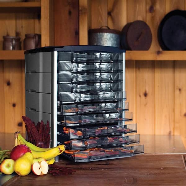 Ivation 10 Stainless Steel Tray Food Dehydrator For Snacks, Fruit and Beef  Jerky IVFD100RSSWH - The Home Depot