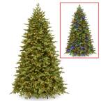 7.5 ft. PowerConnect Princeton Fraser Fir with Dual Color LED Lights