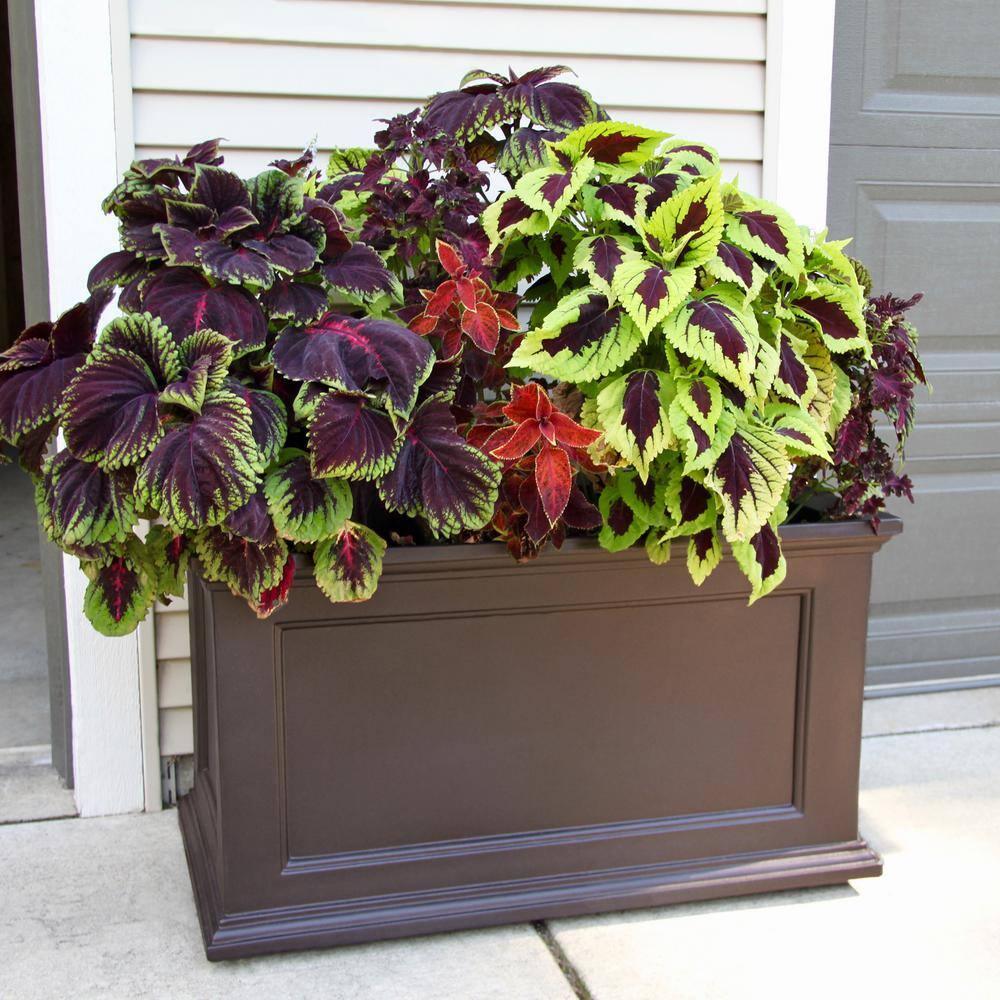 Fairfield Espresso 20"x36" Self-Watering Polyethylene Outdoor Planter