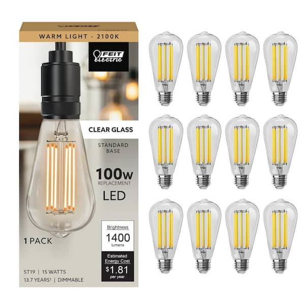 Feit Electric 100-Watt Equivalent ST19 Dimmable Cage Filament