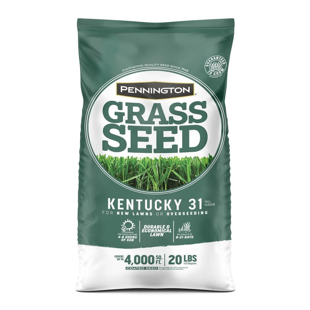 Pennington 20 Lbs. KY 31 Fescue Grass Seed 100543701 - The Home Depot