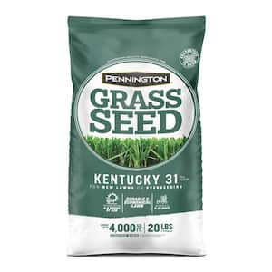 Kentucky 31 Tall Fescue 20 lb. 4,000 sq. ft. Grass Seed