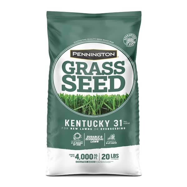 Pennington Kentucky 31 Tall Fescue 20 lb. 4,000 sq. ft. Grass Seed