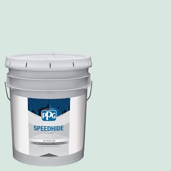 5 gal. PPG1140-1 Echo Satin Interior Paint