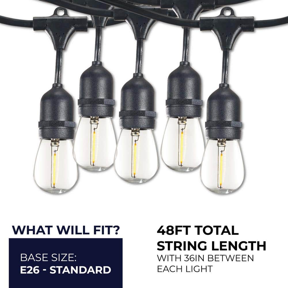 48-ft Black LED String Lights with Clear Shatter Resistant Bulbs