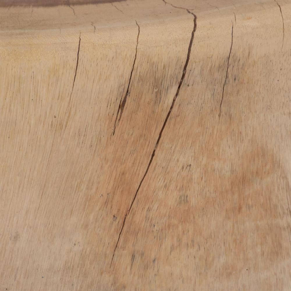 Natural Suar Wood Round Tree Stump Coffee Table 25"