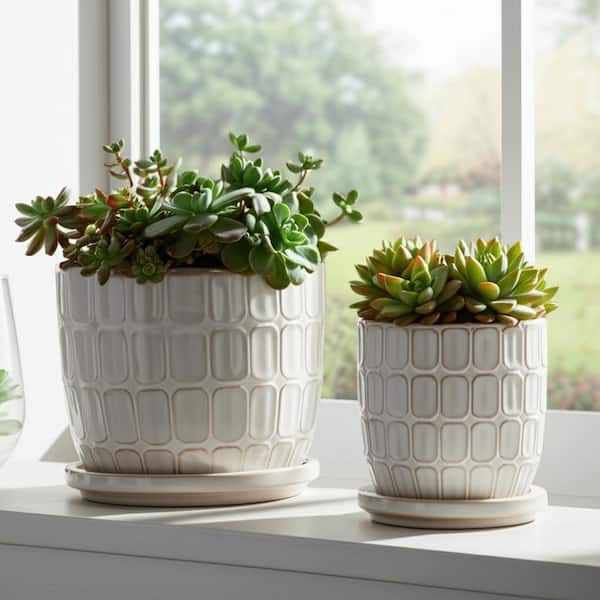 butlers plant a cup 🌸 PLANT A CUP Pflanztasse – Romantischer Blumenzauber – BUTLERS main image 0