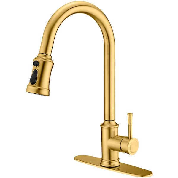 waterpar Single-Handle Pull Down Sprayer Kitchen Faucet with 2 Modes Spray, Pull Out Spray Wand in Brushed Gold