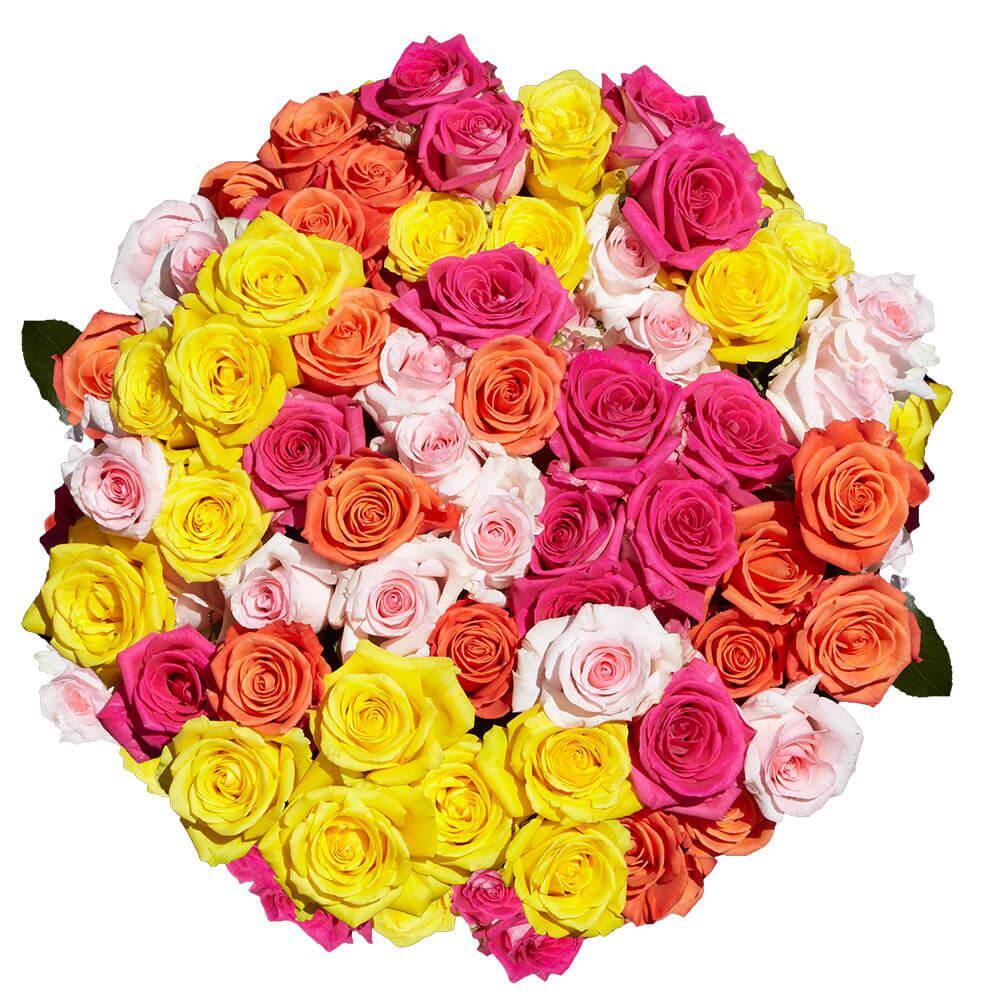 Globalrose 200 Stems of Assorted Roses Fresh Flower Delivery