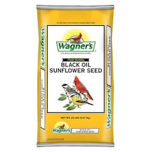 Four Season 20 lb. Black Oil Sunflower Seed