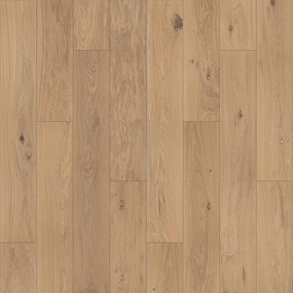 Pergo Take Home Sample - Defense+ 5 in. x 7 in. Beachwood Park Oak Engineered Hardwood Flooring, Medium