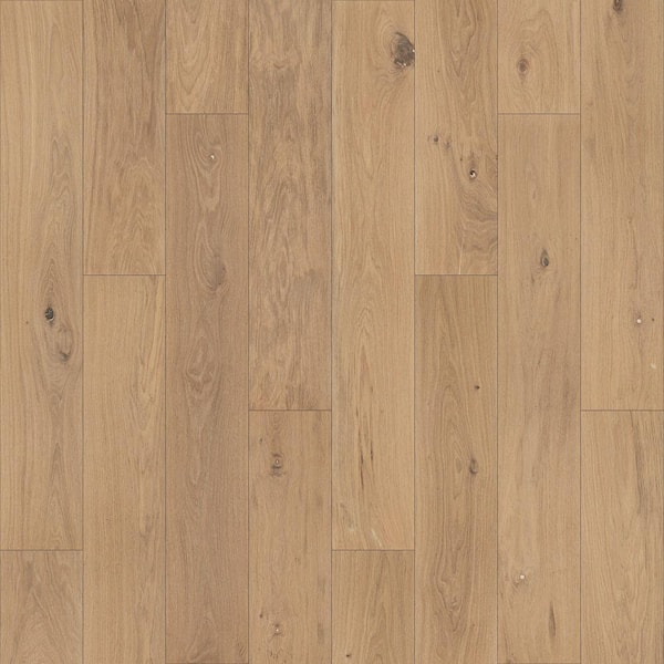 Pergo Take Home Sample - Defense+ 5 in. x 7 in. Beachwood Park Oak Engineered Hardwood Flooring