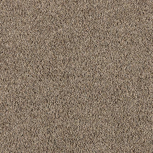 Home Decorators Collection Radiant Retreat III Graphite Gray 73 oz. Polyester Textured Installed Carpet