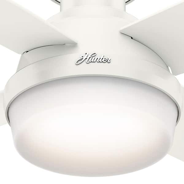 Hunter Dempsey 44 in. Low Profile LED 