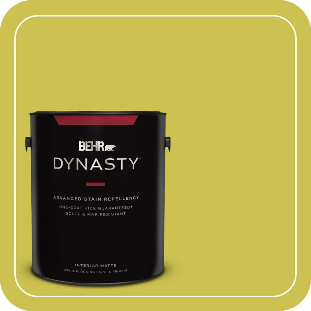 1 Gal. #P340-5A Cilantro Lime Matte Interior Stain-Blocking Paint and Primer price history on PriceWatchPro