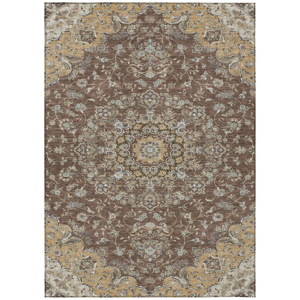 Chantille Machine Washable Indoor/Outdoor Abstract ACN2495 Chocolate 8 ft. x 10 ft. Area Rug price history on PriceWatchPro