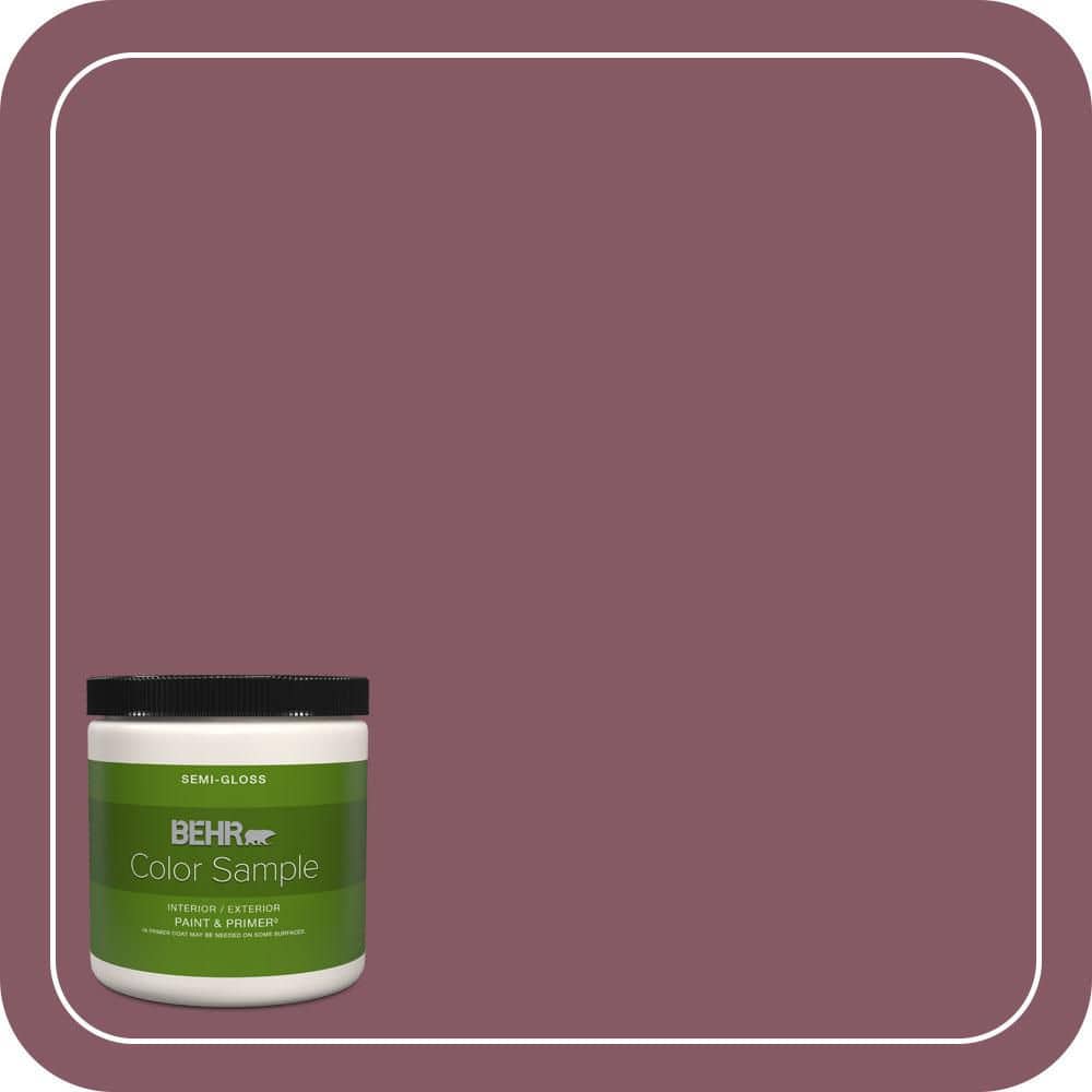 8 oz. #100D-6 Rose Garland Semi-Gloss Interior/Exterior Paint & Primer Color Sample price history on PriceWatchPro