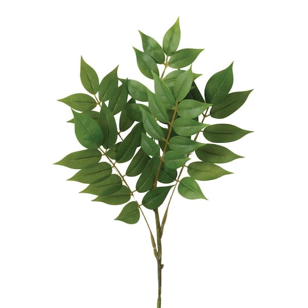SULLIVANS 24 in. Bold Green Indoor Artificial Ruscus Flower Spray