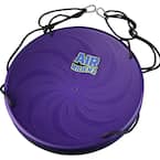 Air Riderz Saucer Swing - Purple