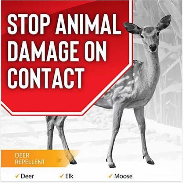 Deer Stopper II Gray Concentrate Deer Repellent Spray