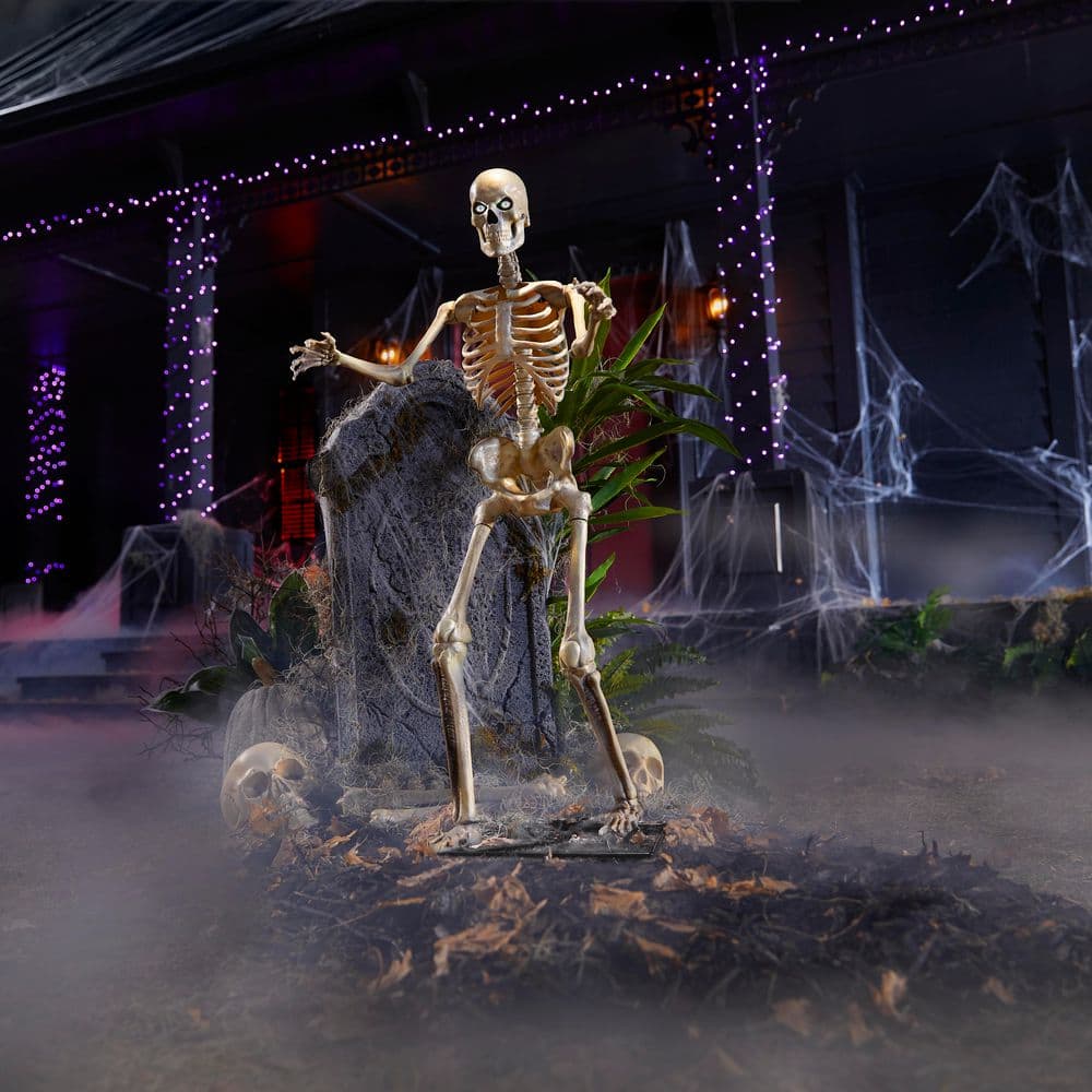 3 FT LED Skelly price history on PriceWatchPro