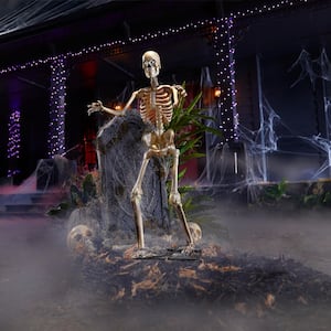 3 FT LED Skelly
