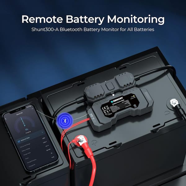 Battery Monitor Sensor