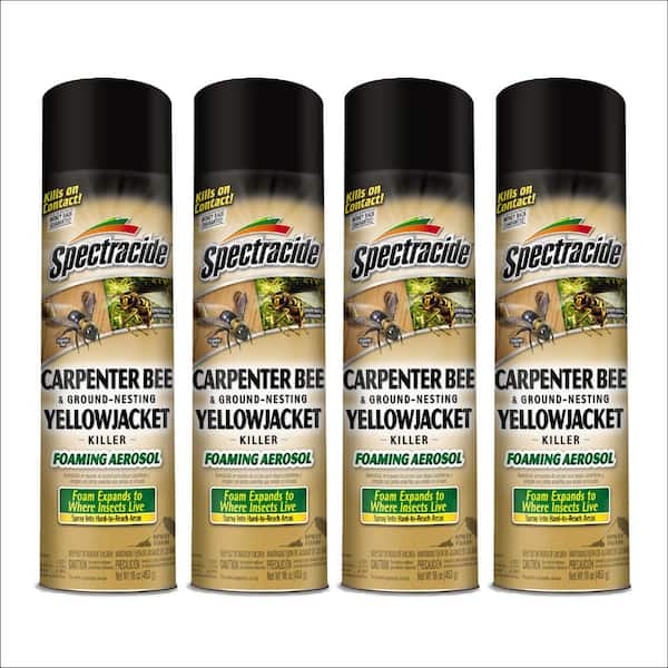 16 oz. Carpenter Bee And Ground-Nesting Yellowjacket Killer Foam Spray (4-Pack)