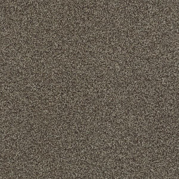 Lifeproof Karma I - Tumble Weed - Brown 41.2 oz. Nylon Texture Installed Carpet