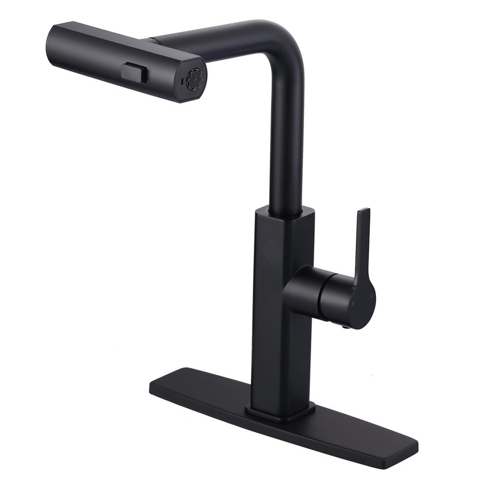 Single Handle Pull Down Sprayer Kitchen Faucet with Advanced Spray, 3-Function Mode in Black price history on PriceWatchPro