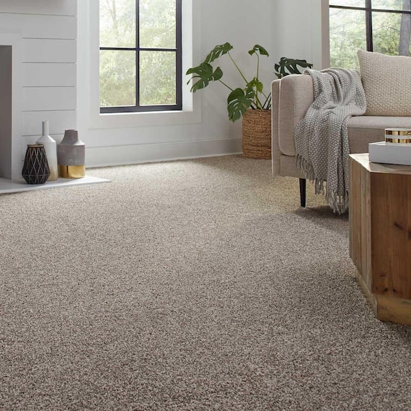 Barx I - Color Dried Peat Indoor Texture Brown Carpet