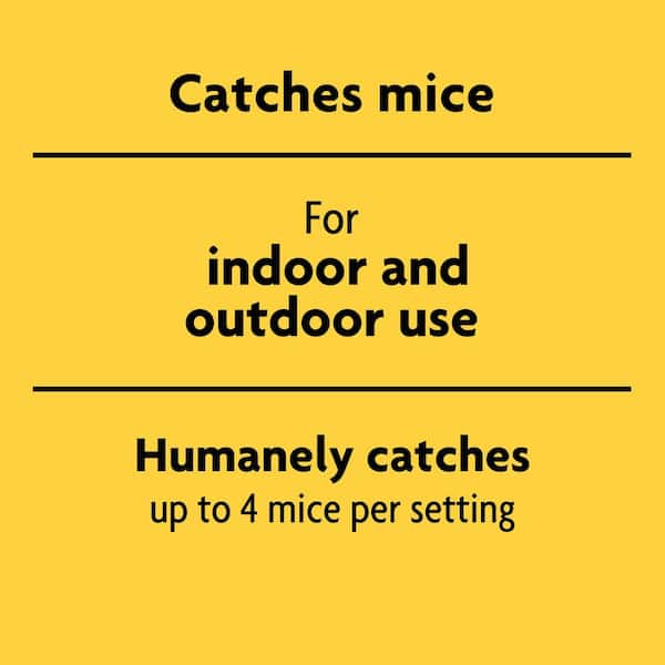 Indoor/Outdoor Multi-Catch Mouse Trap