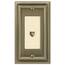 https://images.thdstatic.com/productImages/f865c613-e278-4b7d-b9f6-471628f3895e/svn/brushed-brass-amerelle-data-wall-plates-94phbb-64_65.jpg